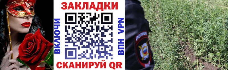 Сколько стоит Аргун Канабис  Меф  Кокаин  ГАШ 