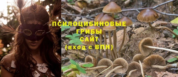 экстази Алексин