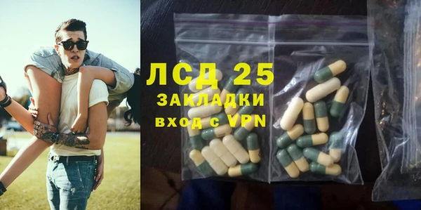 винт Алзамай