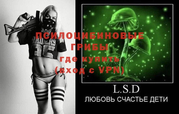 экстази Алексин