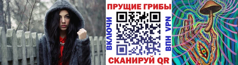 что такое наркотик  Аргун  Галлюциногенные грибы Psilocybine cubensis 